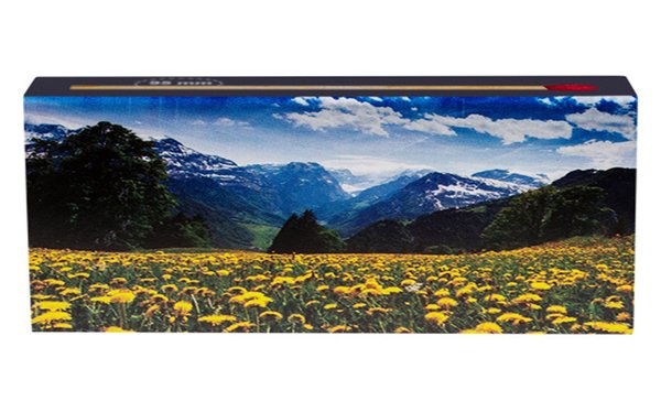 XL Streichholzschachteln Landschaft Motive: 8 x 45er Packungen / 96mm Natur/Wasserfall