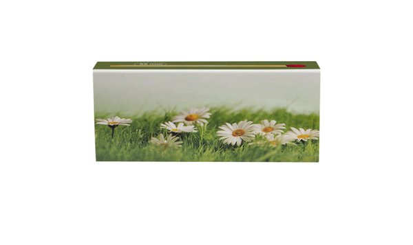 XL Streichholzschachteln Blumen Motive: 8 x 45er Packungen / 96mm Margeriten/Mohn/Schneeglöckchen